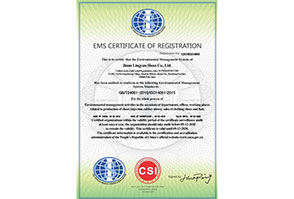 济南凌云鞋业有限公司-EMS（英文）