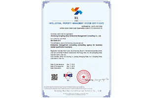 贯标案例-山东东方百艺企业管理